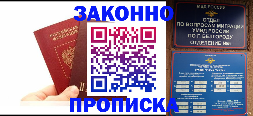 временная регистрация для школы в Кудрово